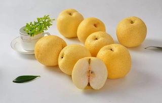 宝宝咳嗽可以吃白兰瓜吗,白兰瓜能否成为食疗佳选?