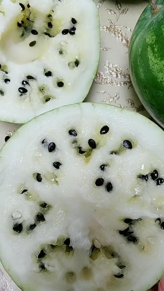 一袋瓜子吃瓜,品味生活，共享欢乐