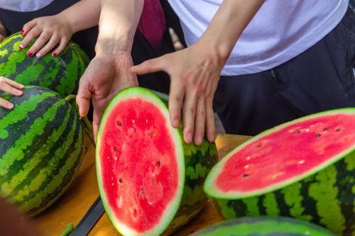 甘肃学校吃瓜,揭开校园食品安全背后的真相
