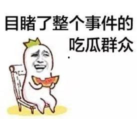 吃瓜群众小二,揭秘娱乐圈那些事儿
