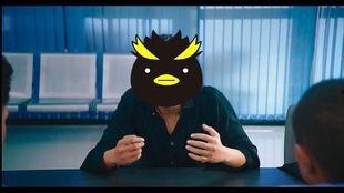 吃瓜加企鹅,吃瓜群众与企鹅萌宠的欢乐碰撞