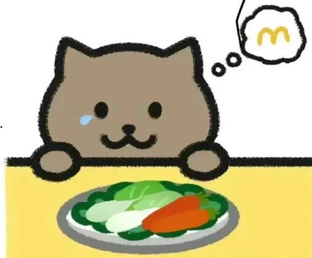 胖猫吃瓜被骗,揭秘网络诈骗背后的真相