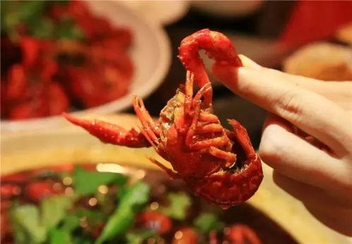 吃瓜少女魏淑芬吃龙虾,吃瓜少女的美食之旅