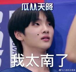 小陈的吃瓜日常